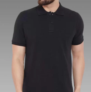 Cotton Blend Solid Half Sleeves Polo T-Shirt